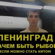 Ленинград Зачем Быть Рыбой Если Можно Быть Китом