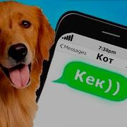 Линкор Если Бы У Животных Были Соц Сети